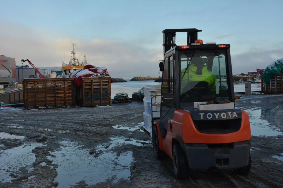 The Berlevåg Port. Photo: Atle Staalesen