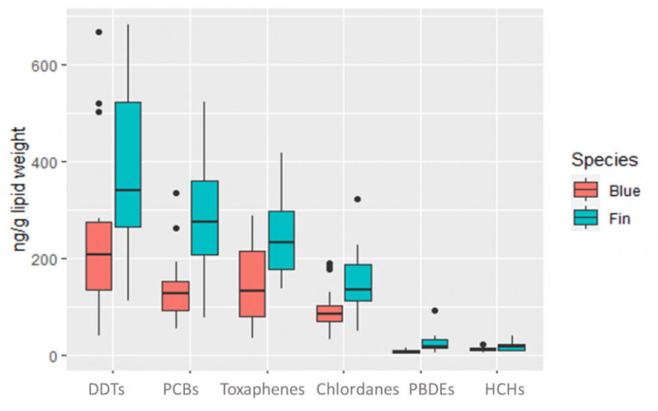 Pollutant levels were higher in fin whales (aquamarine boxes) than in blue whales (pink boxes).