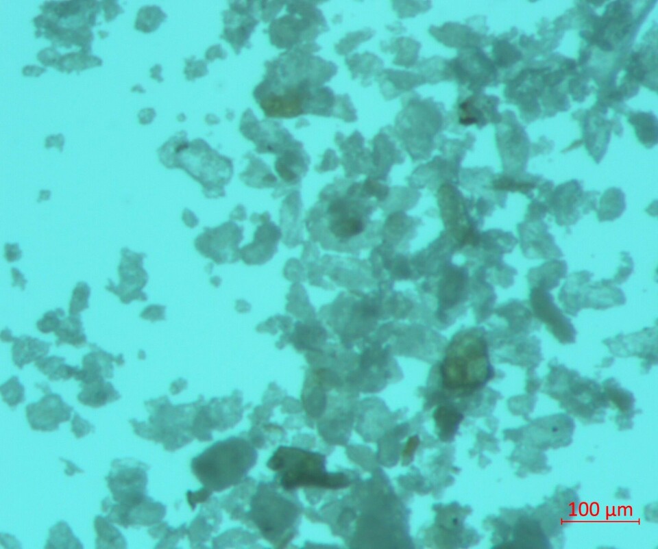 Photomicrographs of recent mineral residue from a) the old mine site Ulveryggen (top) and b) the new mine site Nussir. Photos: H Gautneb / Geological Survey of Norway