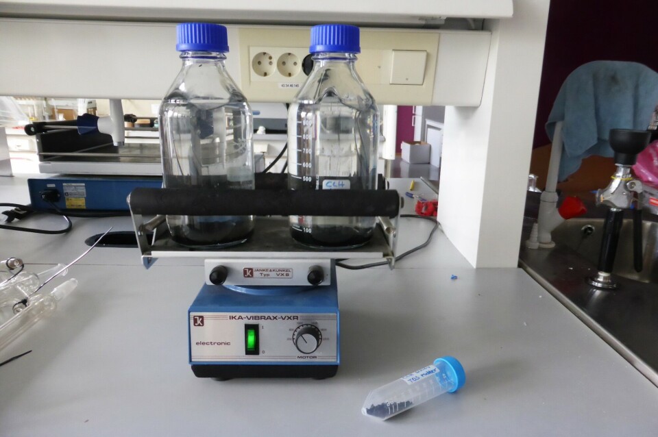 Sampling in a laboratory. Photo: Claudia Halsband/Akvaplan-niva.