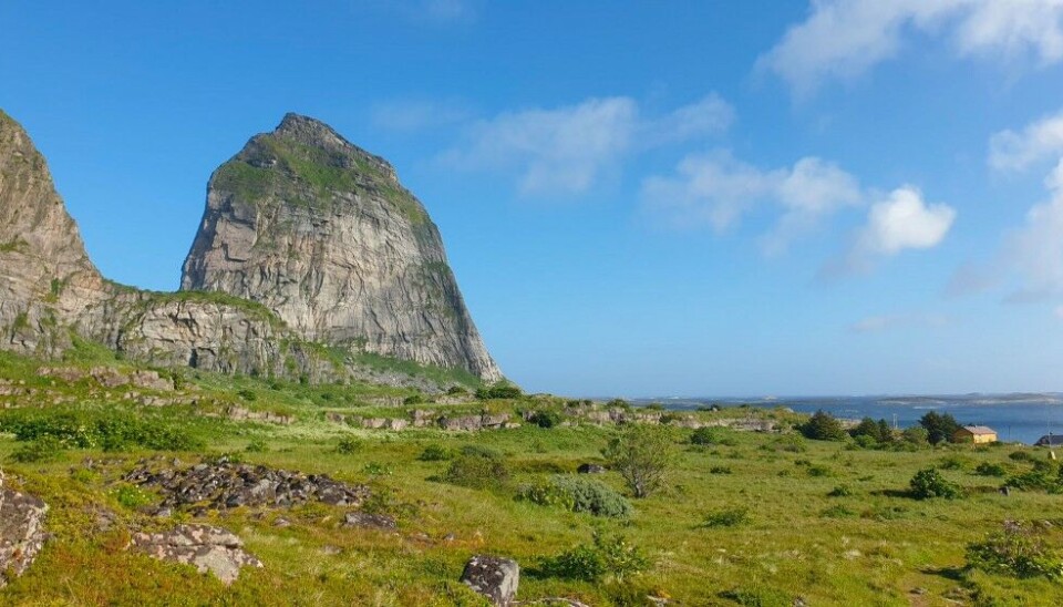 The island of Sanna is also home to the iconic Trænstaven Mountain. Jutting a full 338 metres straight out of the sea, it is one of the most visible and well-known sailing marks along the Norwegian coast and clearly stands out from the strandflats that have been worn smooth by the elements and that characterise the outer coast of Helgeland.“This is an iconic place. It’s easily accessible, you can see it from afar, the cave can accommodate lots of people, and it’s an excellent spot for major festivities and bartering,” explains Fauvell. Photo: Helge M. Markusson/The Fram Centre.