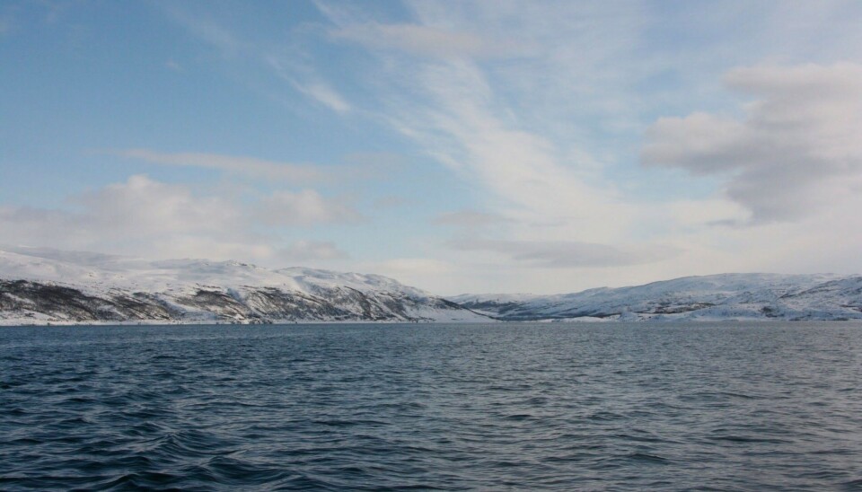 Leaching of metals from mine tailings in Repparfjorden