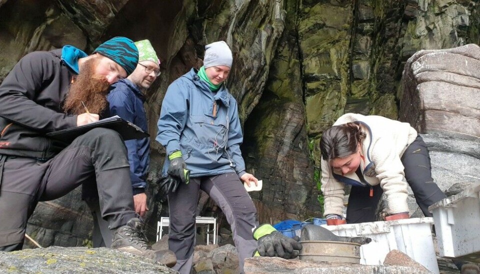 New findings in the cave, nearly all the time. From the left: Erlend Kirkeng Jørgensen, Norwegian Institute for Cultural Heritage Research. Mikael Fauvelle, Lund university, Emma Falkeid Eriksen and Lydia Hildebrand Furness, University of Oslo. Photo: Helge M. Markusson/ The Fram Centre.