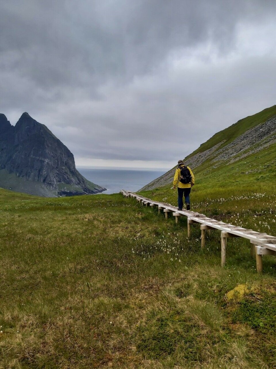 The trail to Kvalvika, Lofotodden National Park. Photo: Sigrid Engen / Norwegian Institute for Nature Research