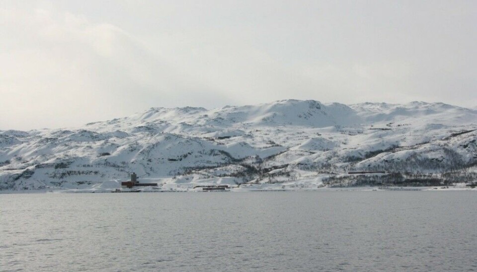 Repparfjorden in winter. Photo: Geir Dahl-Hansen / Akvaplan-niva