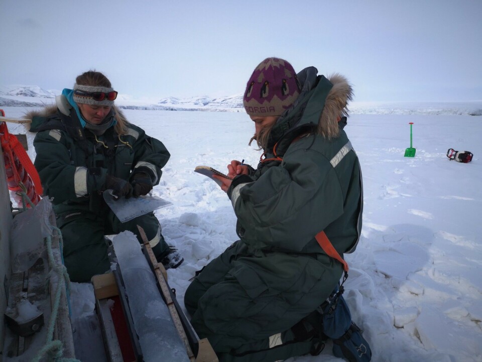 Sea ice sampling in Mohnbukta, eastern Svalbard, in May 2020. The thickest sea ice (135 cm) was found here during our 2020 sea-ice survey. Eastern Svalbard is much colder than western Svalbard, with thicker sea ice and more snow on top, which delays the start of the algal bloom there compared to western Svalbard. Photo: Janne E Søreide / University Centre in Svalbard