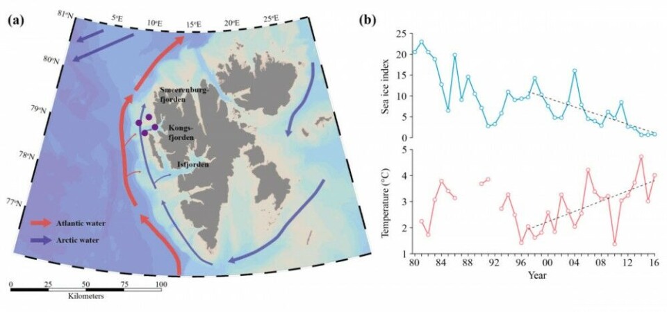 Panel a) Svalbard with Atlantic and Arctic currents influencing Kongsfjorden. Panel b) Records of sea ice index (blue) and ocean temperature (red) in Kongsfjorden. Lower sea ice index implies less sea ice. Temperature data are from Tverberg et al. (2019)