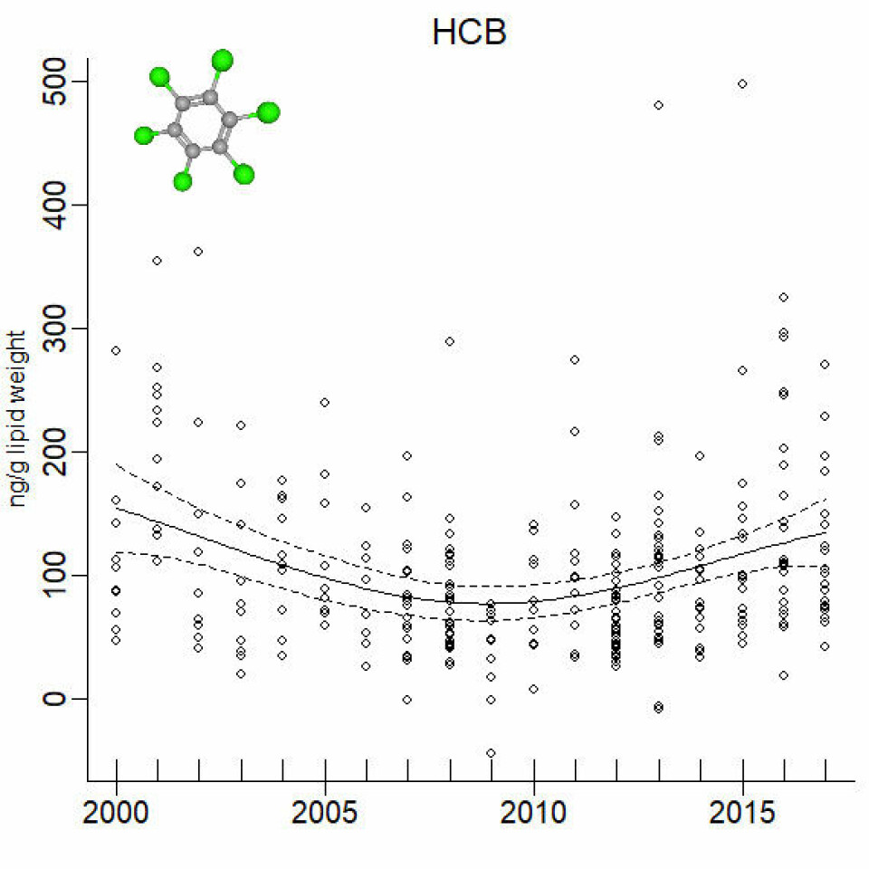 What drives pollutant exposure in Barents Sea polar bears?