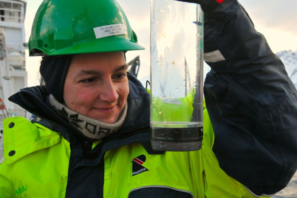 A tale of a local fjord – investigating a marine system in our backyard