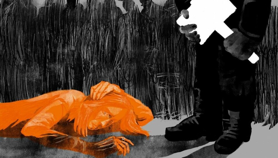 Иллюстрации: Алиса Кананен