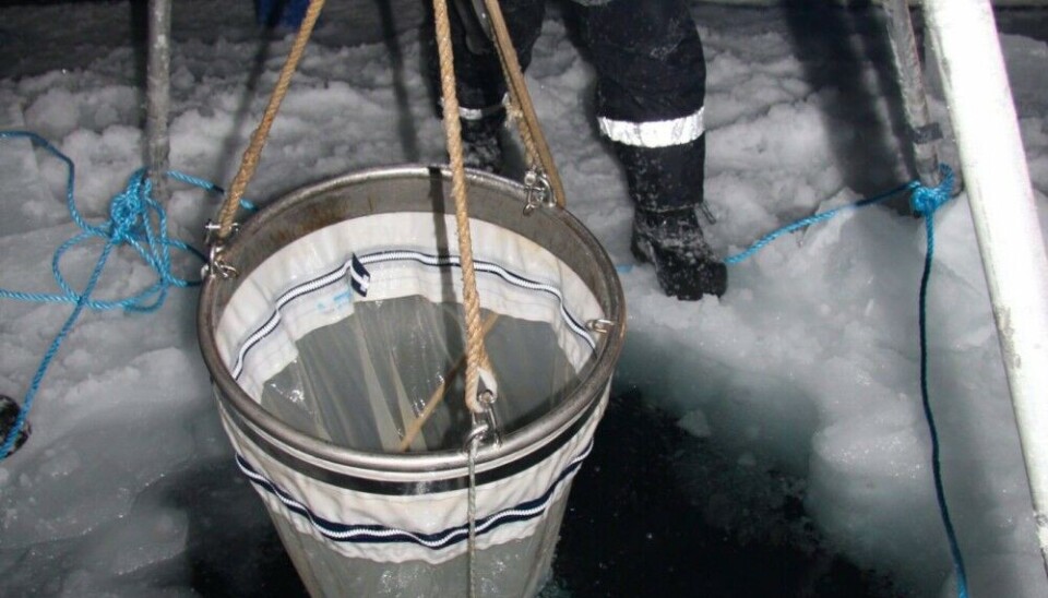 Sampling using a snowmobile as a winch in January 2009 during one of many UNIS field campaigns over the years. Photo: Malin Daase / UiT The Arctic University of Norway