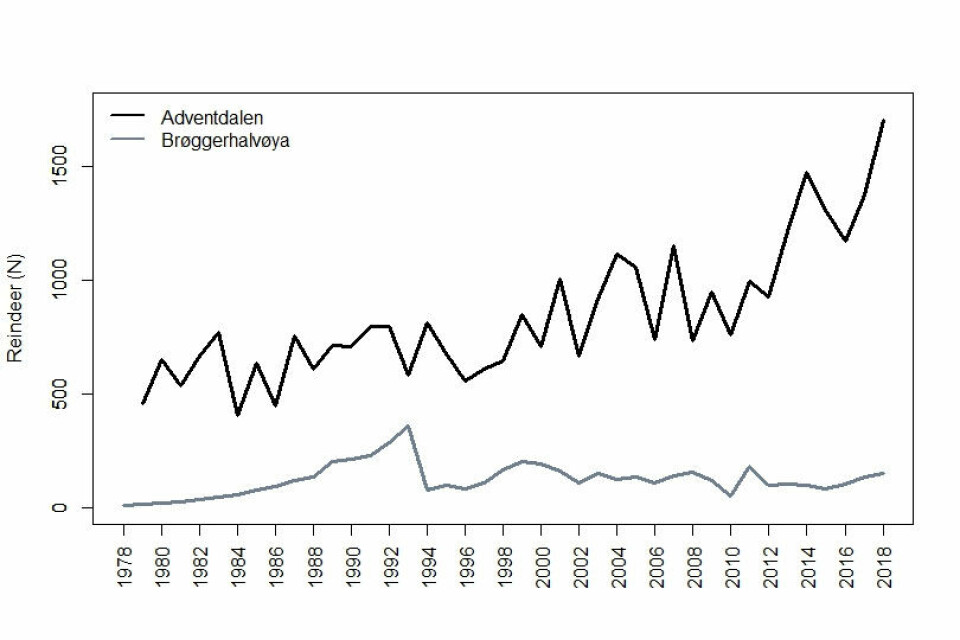 Abundance of Svalbard reindeer in the core monitoring areas of Adventdalen (summer 1979-2018) and Brøggerhalvøya (winter 1978-2018)(http://www.mosj.no/no/). Note the sharp population decrease on Brøggerhalvøya after the rainy winter of 1993/94, and the marked increase in Adventdalen in recent years.