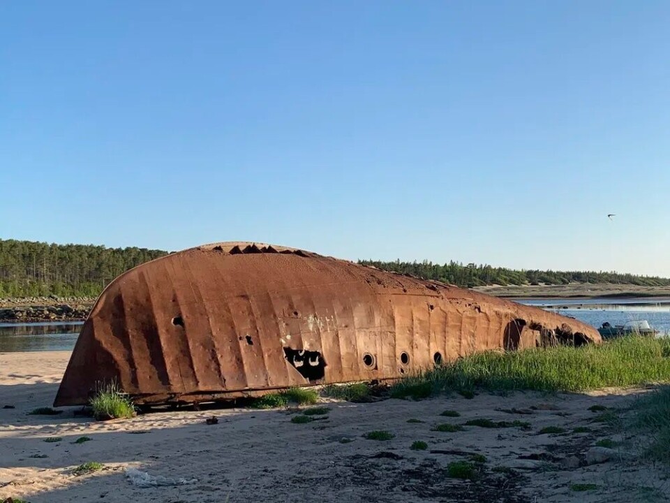 Ship graveyard by the river. Photo: Tatiana Britskaya