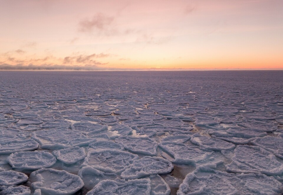 Management of variable environmental values in the Arctic