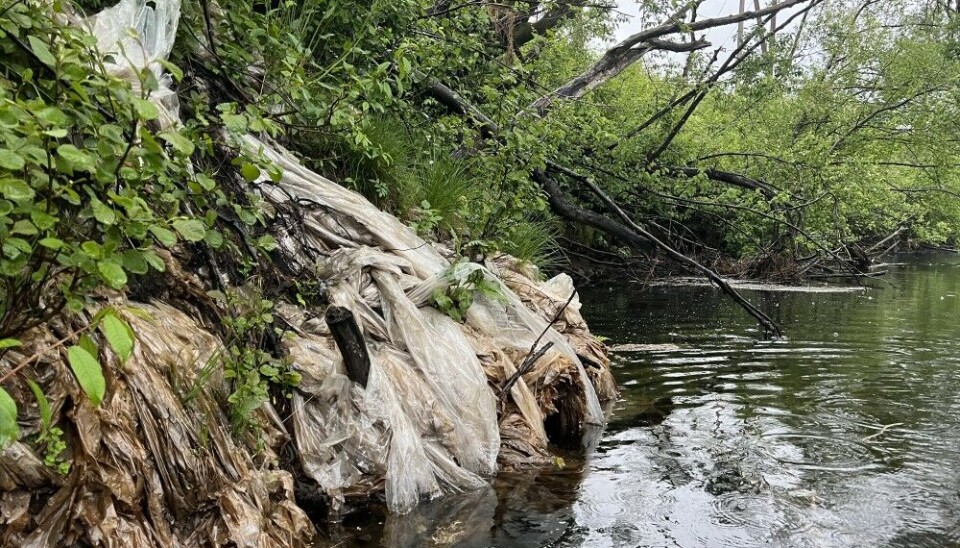 River Søgne, in the city of Kristiansand in the South of Norway. Photo: Gaute Velle