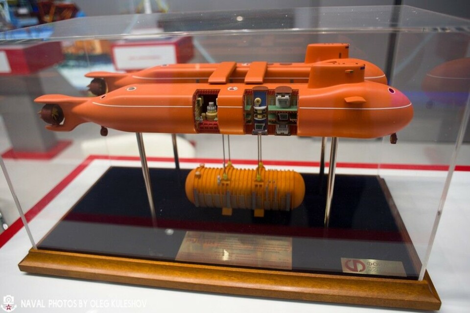 Photo: Oleg Kuleshov / kuleshovoleg.ru