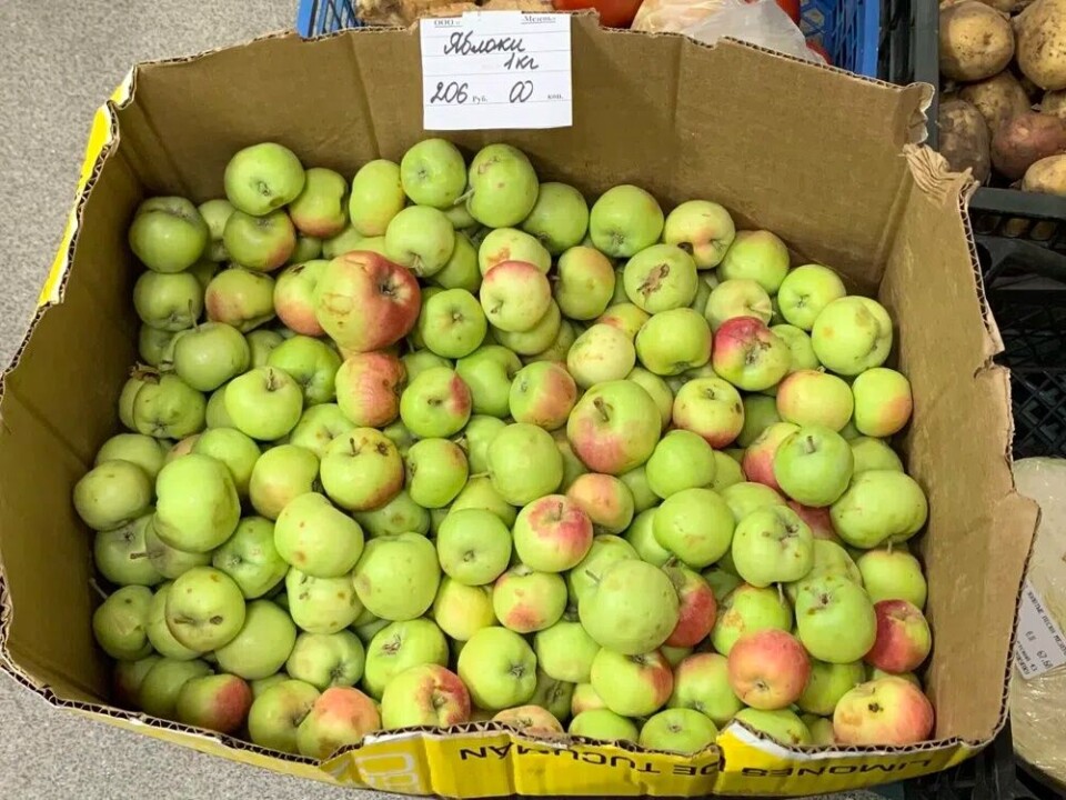 Apples for 208 rubles per kilo. Photo: Tatiana Britskaya