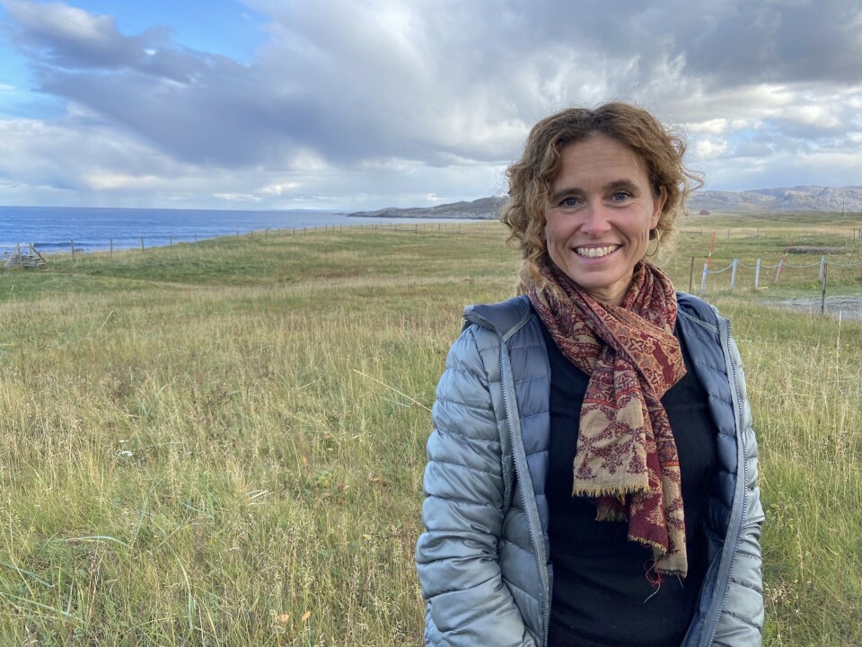 Julie Wilhelmsen is a senior research fellow at the Norwegian Institute of International Affairs and an expert on Russian foreign and security policies. Photo: Thomas Nilsen