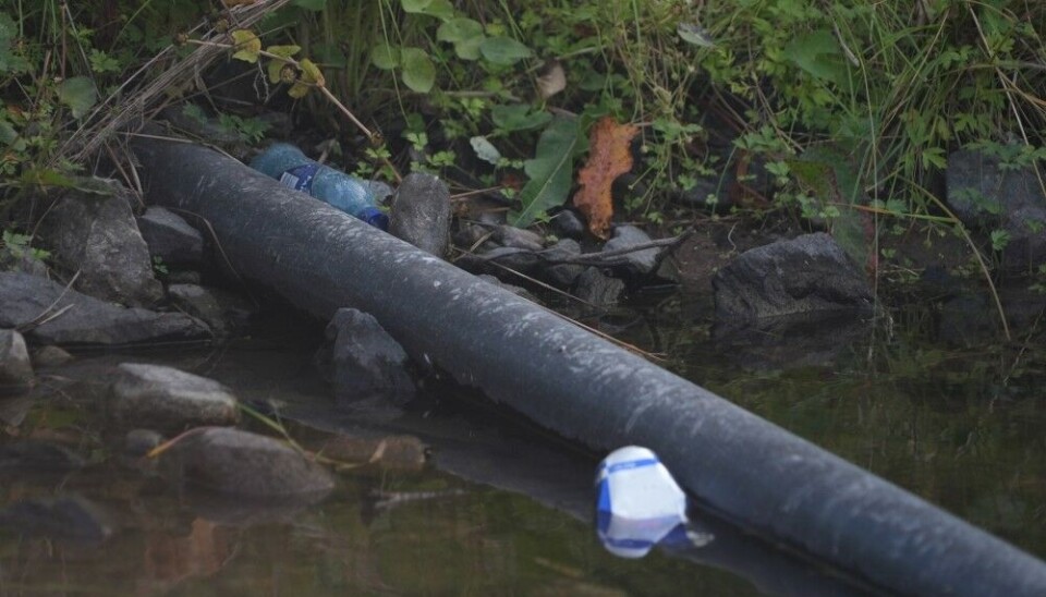 Plastic waste in the Sandnesbekken creek in Kirkenes, Northern Norway, in summer 2024. Photo: Elizaveta Vereykina