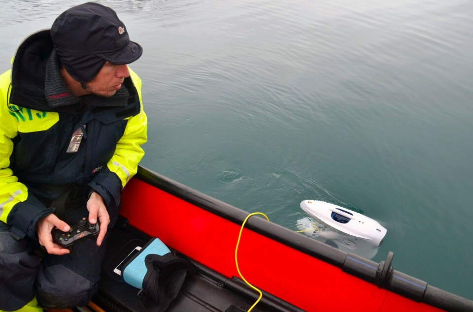 Martin Ludvigsen, professor at the Norwegian University of Science and Technology, steers the Blueye robot from the surface. Photo: Helge M Markusson / Fram Centre