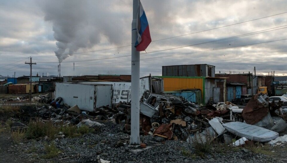 Photo: Kirill Zhuchalin, Kedr