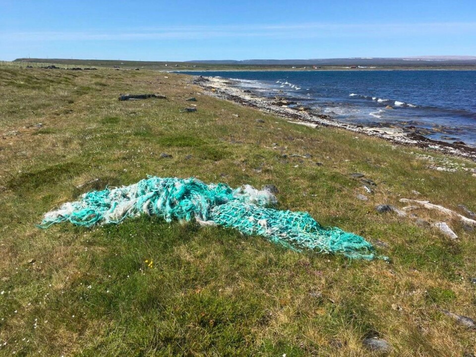 Lost fishing gear, here from a shore in Finnmark, can make up to 50% of all plastic litter found on shores in northern Norway. In the period 1950-2015, we produced 8.3 billion tonnes of plastic, of which a considerable amount has ended up in the ocean as “marine litter”. Plastic degrades poorly in the ocean; it accumulates on the sea floor and shorelines, not only destroying scenic vistas but also posing a severe threat to marine life. Marine litter has also become a growing problem in the Arctic. While some mapping and characterisation has been done, there are major knowledge gaps about where the litter is distributed throughout the Norwegian, Barents, and Kara seas, and in the High Arctic in general. Photo: Frank Beuchel / Akvaplan-niva