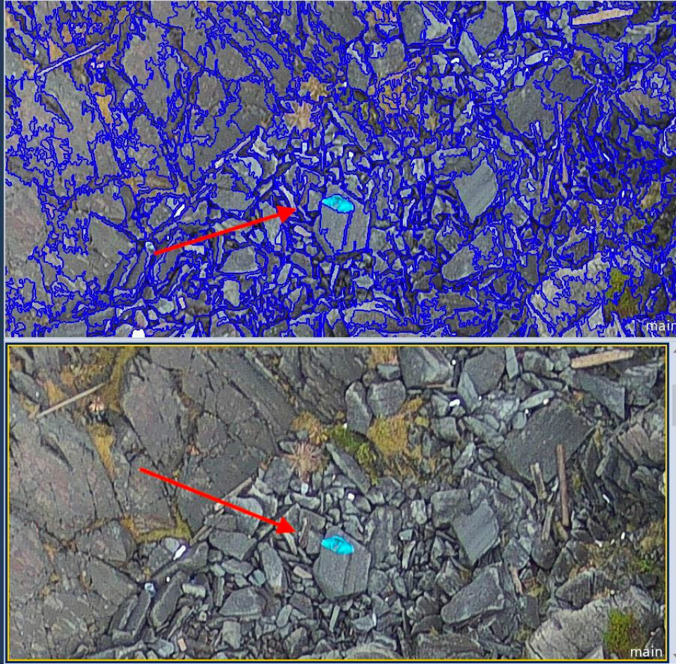 Examples of analysis of different types of plastic debris from drone images using OBIA techniques in “eCognition”. Photos: Akvaplan-niva