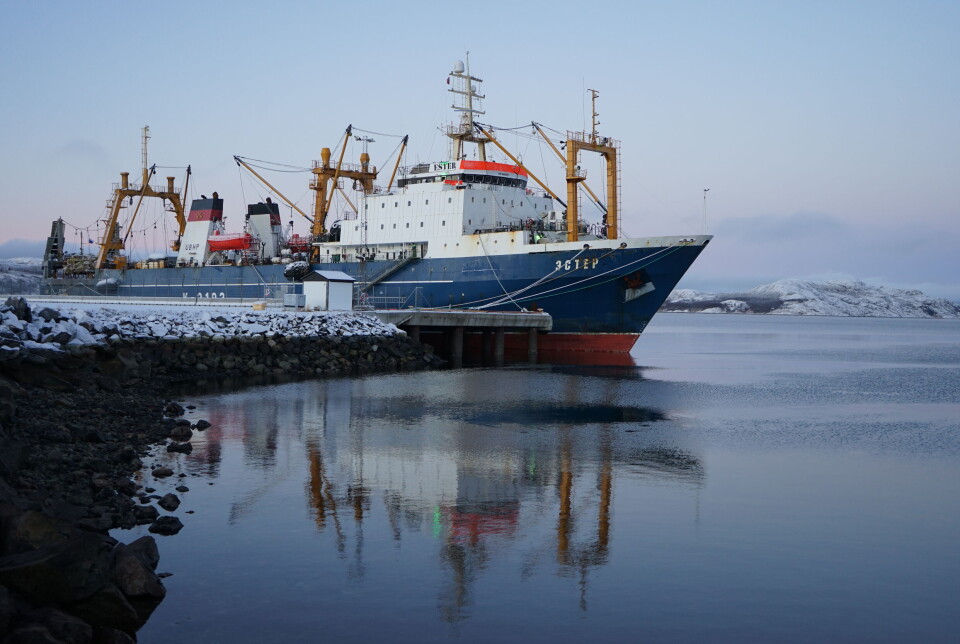 A Russian fish-factory trawler Ester in the port of Kirkenes in 2023.