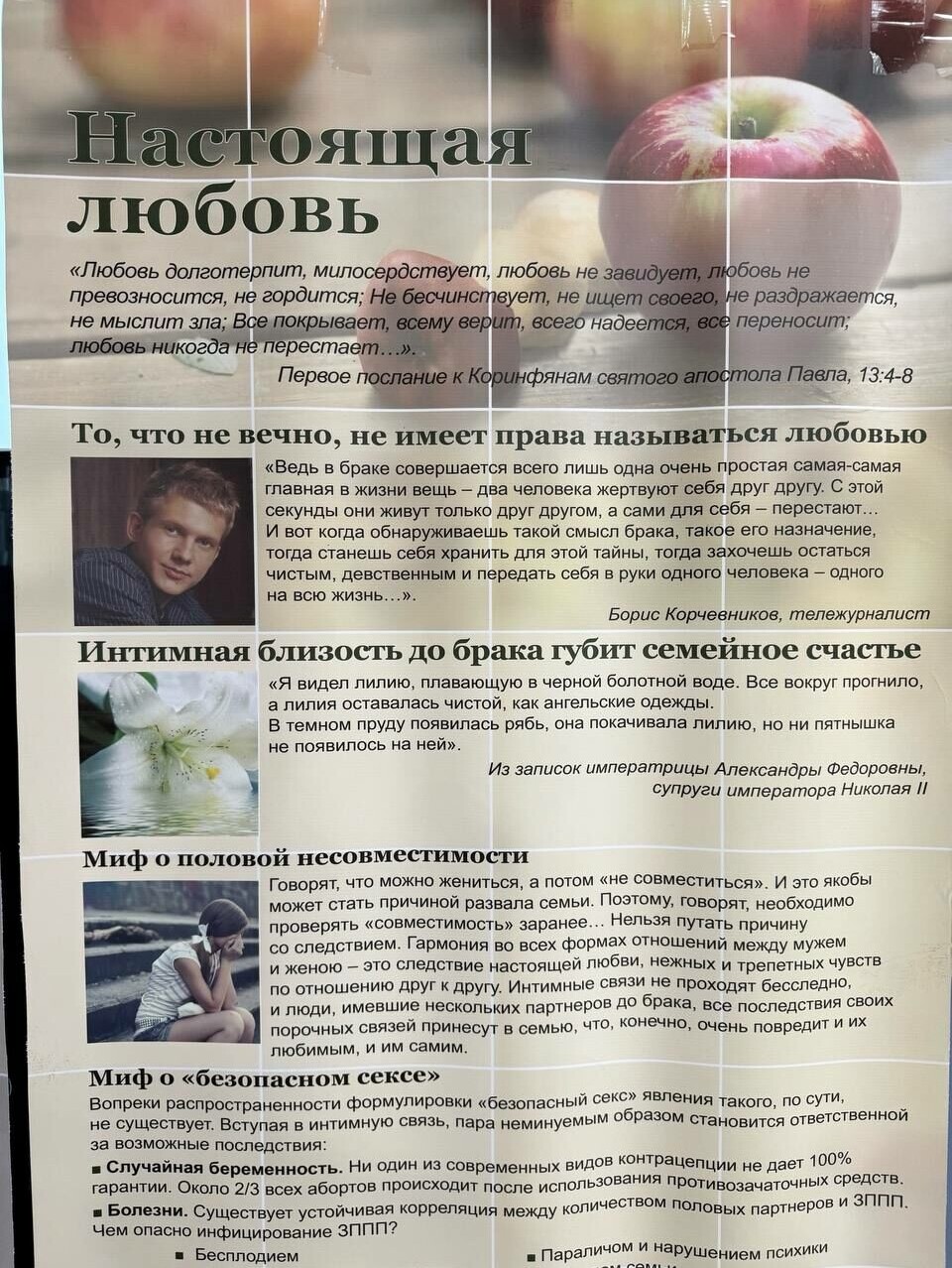 Одна из интсалляций на пропагандистской выставке