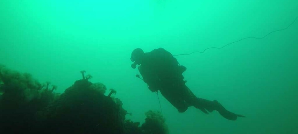 Norge, Tyskland satte kritisk undervannsinfrastruktur på NATOs agenda