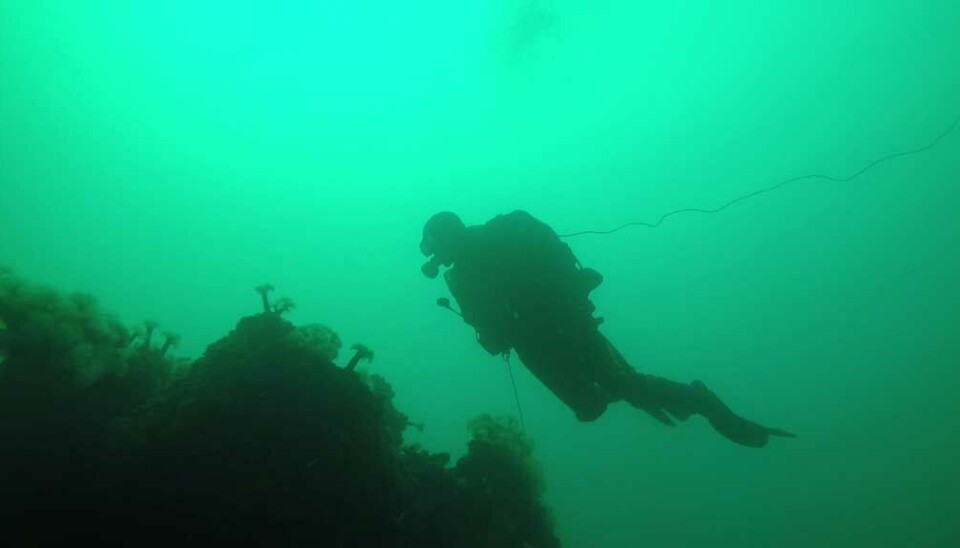Underwater defence.