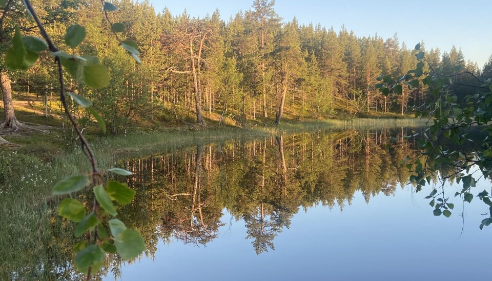 Warm weather is said to continue into next week in northern Finland.