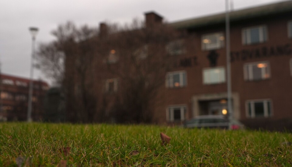 Green grass in front of the Barents Observer office on November 8, 2024