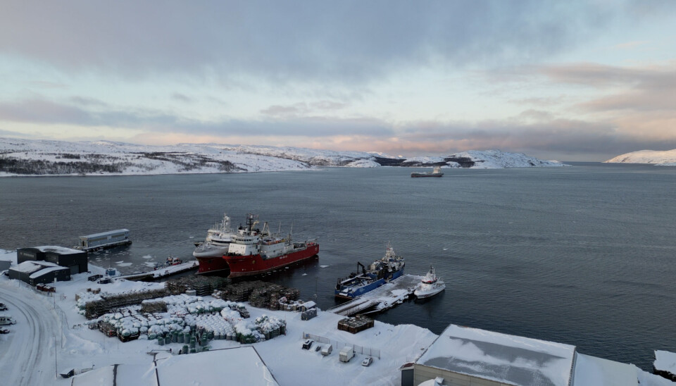 Kirkenes harbor, northern Norway, in the Barents Sea. Russia's border is just few km away.