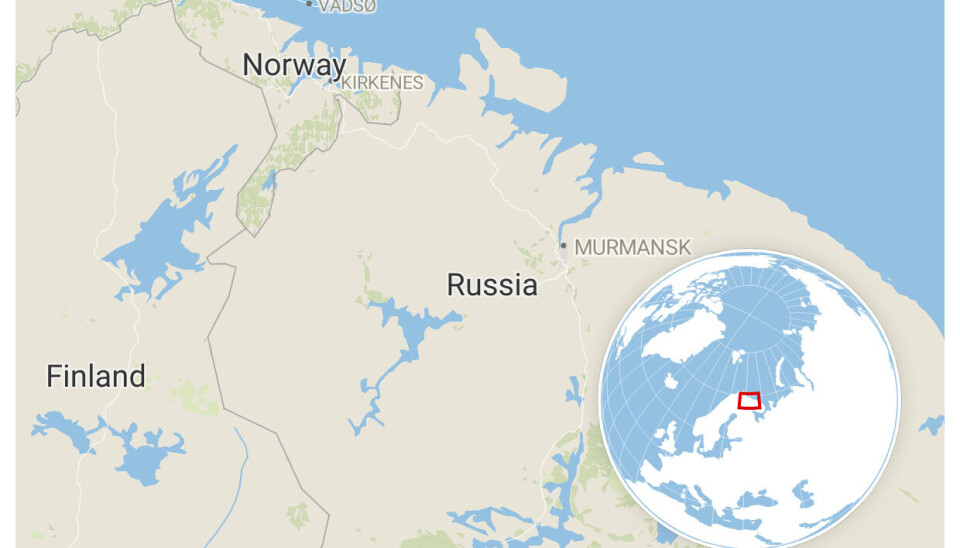 Wolves freely cross borders between Russia, Norway, and Finland in the north.