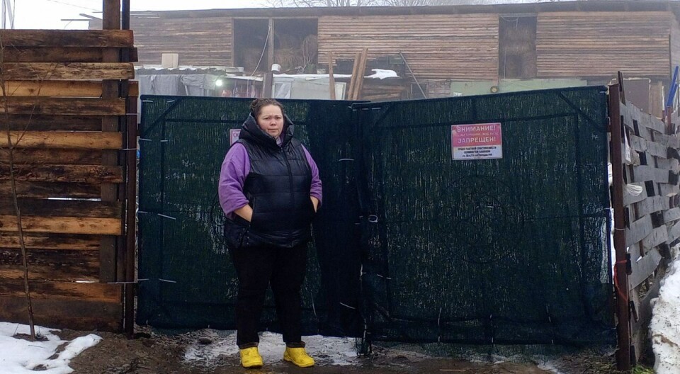 Elena Zhamgaryan raises goats, sheep, pigs, and chickens. Her business is threatened by power outages.
