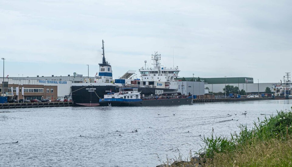 A Norwegian reefer lands fish in the Port of Velsen. Since the ban on Russian reefers in Dutch ports, fish from Russia has been brought in on Norwegian reefers.