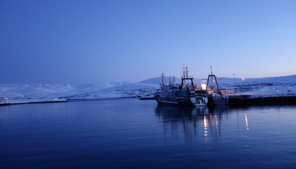 Russian trawlers have over many years landed major volumes of fish in north Norwegian ports such as Båtsfjord.