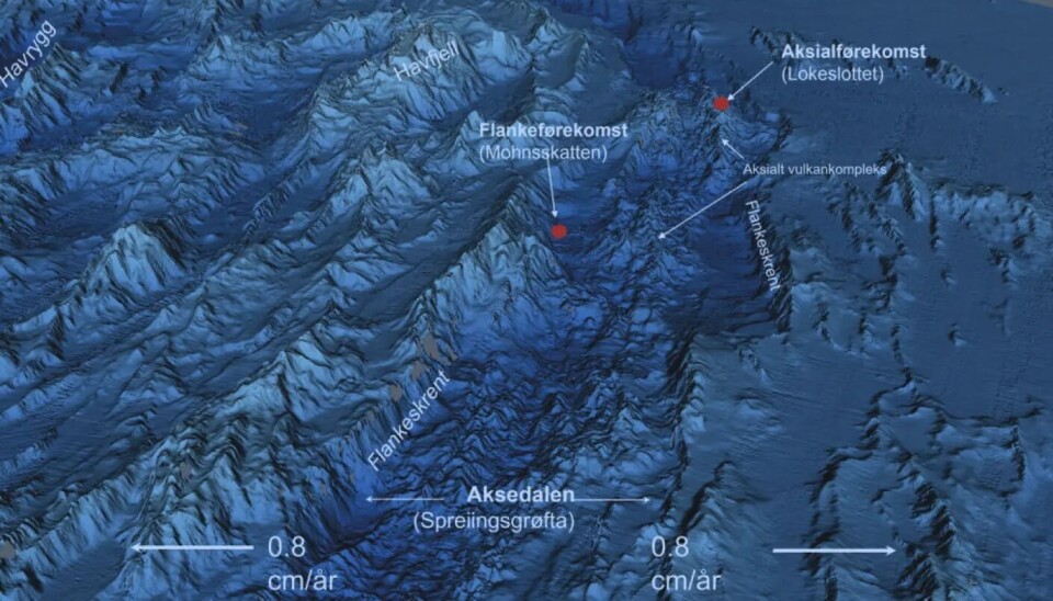 Фото участка шельфа с сайта правительства Норвегии. seabed mining plan