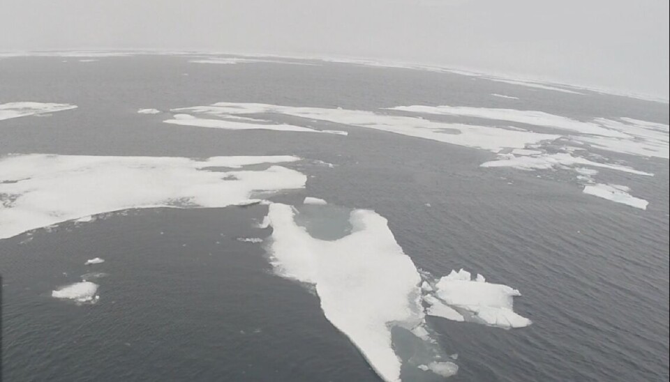 Льда в Арктике с каждым годом становится всё меньше. Arctic