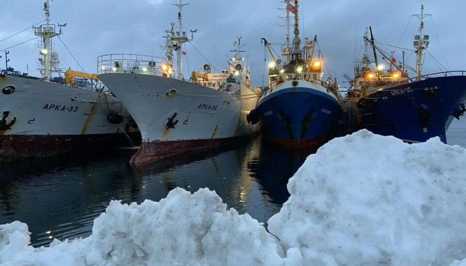 Российские рыболовные суда в норвежском Киркенесе.
