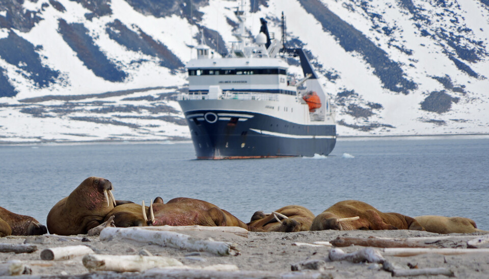 When travelling at sea, you must keep at least 150 meters from walrus haul-sites.