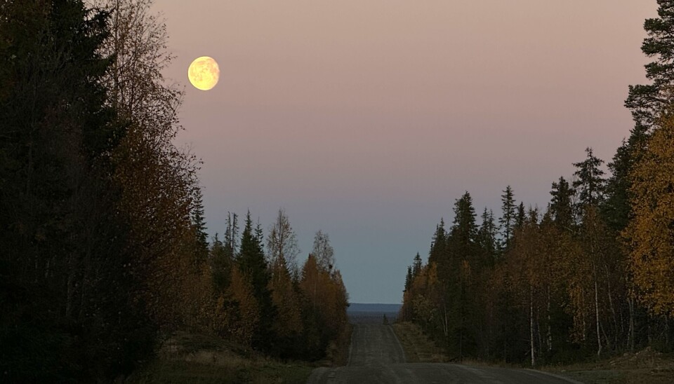 Soil in Finland releases more carbon than a few decades ago