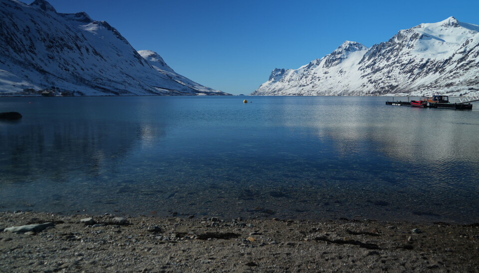 Fjord in Tromsø, northern Norway.