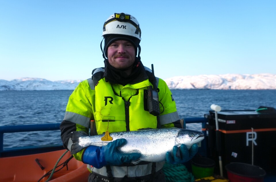 Lerøy fish farm worker Magnus Benjaminsen holding an Atlantic salmon in northern Norway