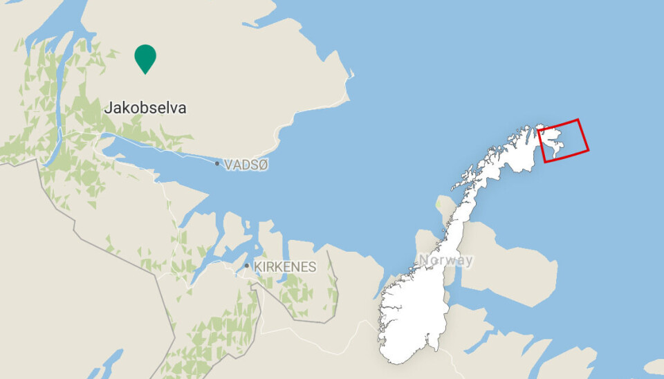 AI to help fight invasive fish in Norway