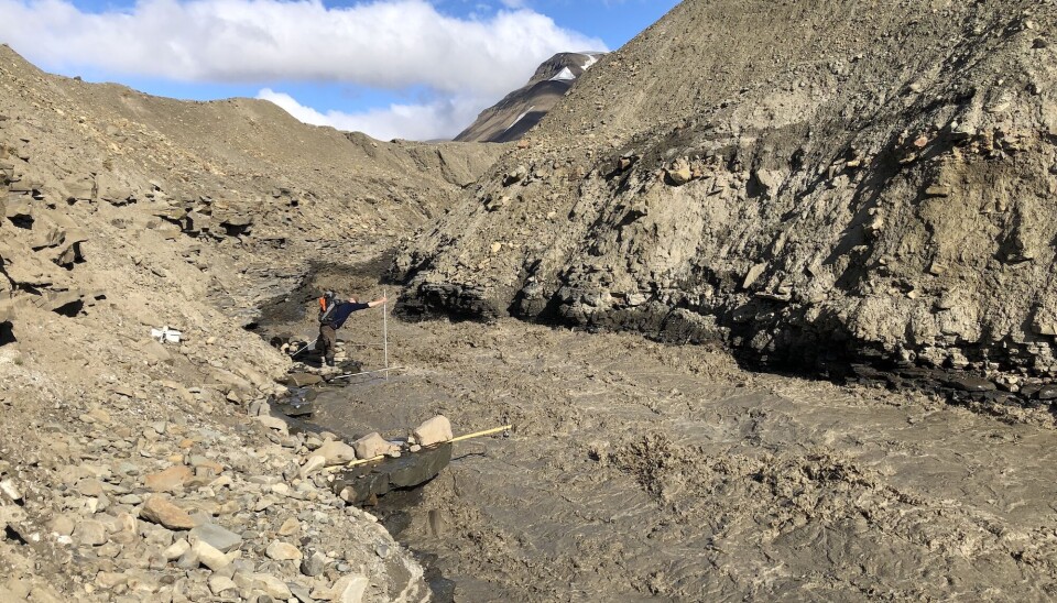 The melt river from Vallåkrabreen is very powerful and carries loads of sediments in addition to methane, making it look brown.
