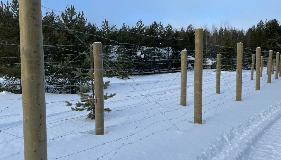 Newly built fences with barbed wire on island of Mudyug.