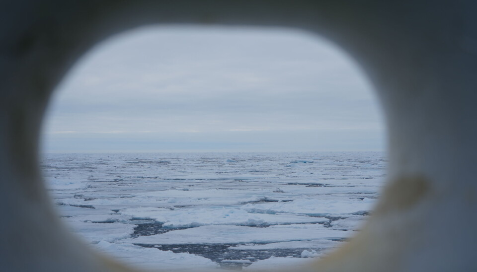 The loss of Arctic sea ice happens dramatically faster then ever before.