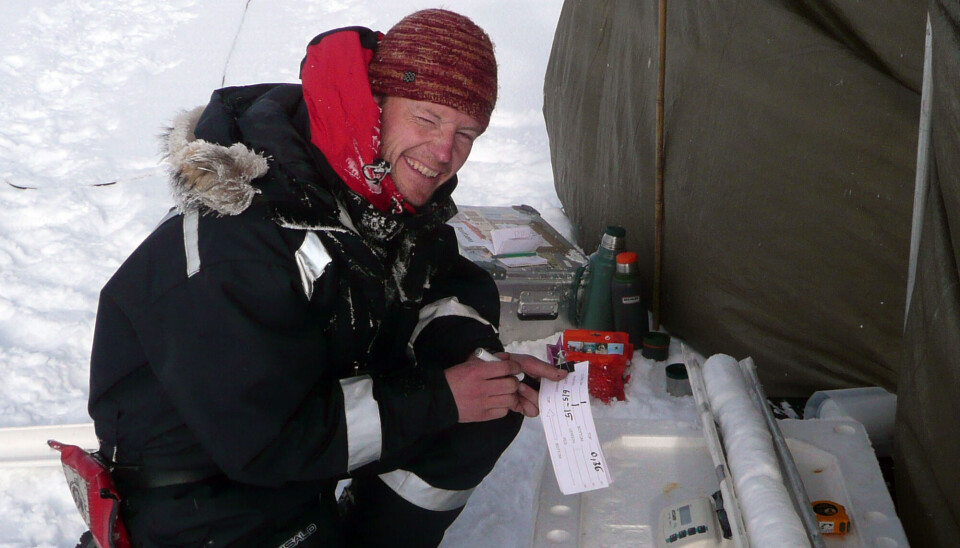 Geir Moholdt in the field